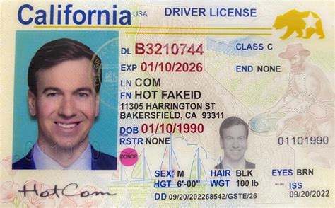 can you fly with a fake id in your bag|can you carry a false id.